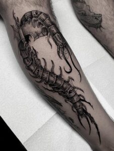 Anna (Greece) The Black Rabbit_TTC25__1